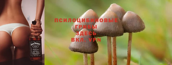 тгк Богородск