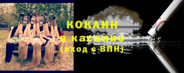 индика Беломорск
