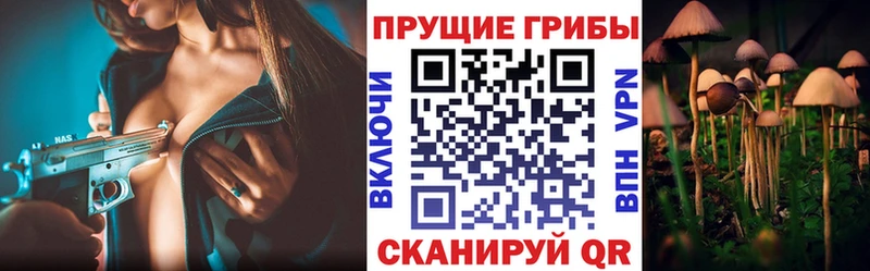 Галлюциногенные грибы мицелий  Менделеевск 